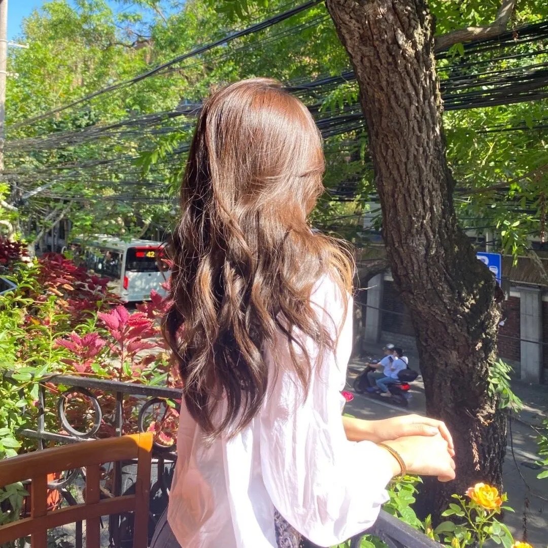 钢之炼金术师完结篇最后的炼成